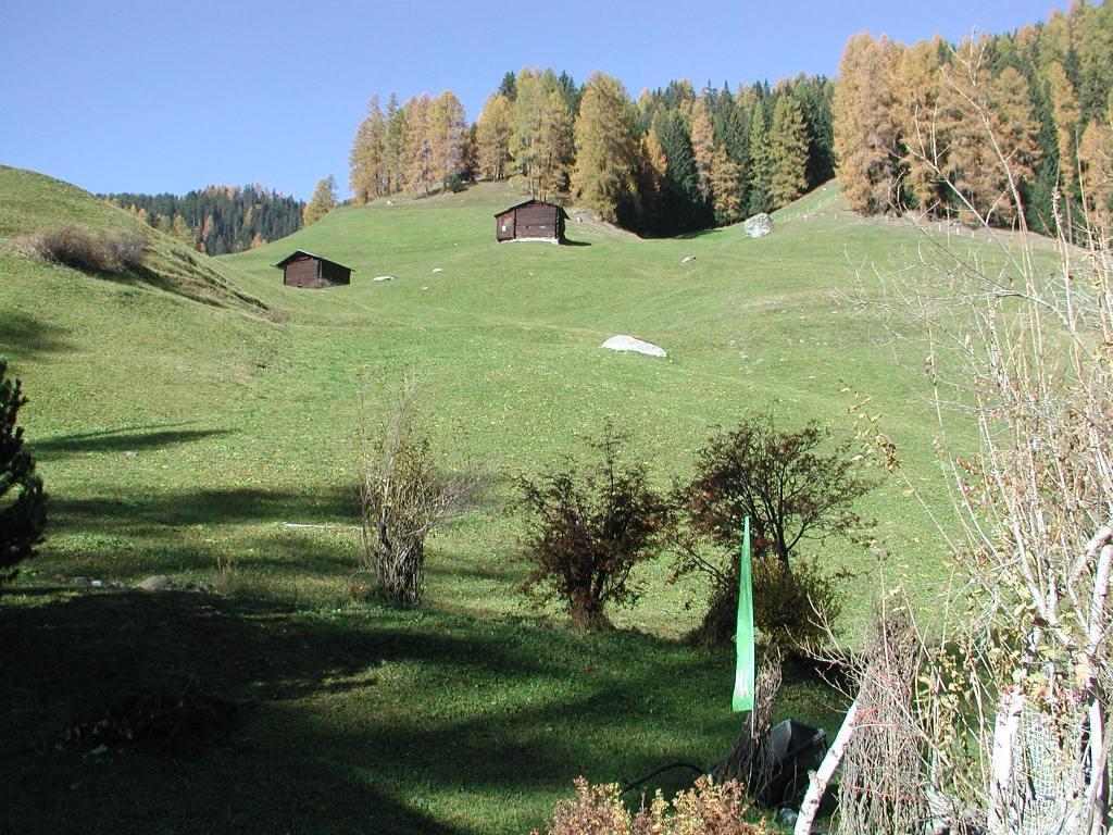Ferienwohnung Gadenstatt Davos Extérieur photo